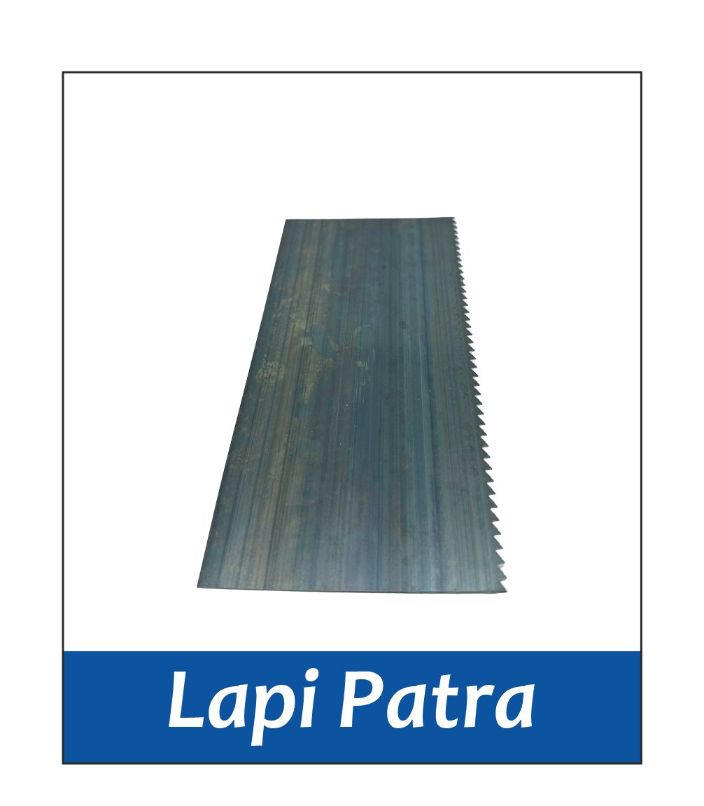 Lapi Patra